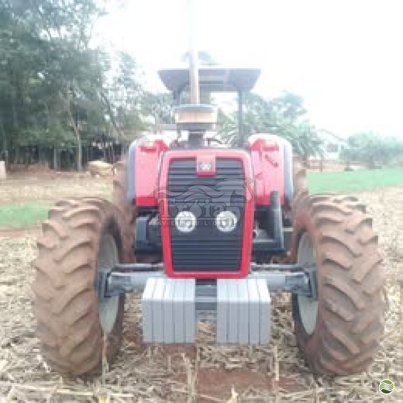 TRATOR MASSEY FERGUSON MF 297 Tração 4x4 Troia Veiculos  PATO BRAGADO PARANÁ PR